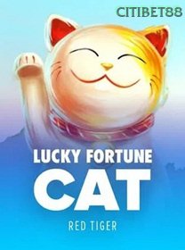 Lucky Fortune Cat